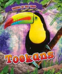 Toekans