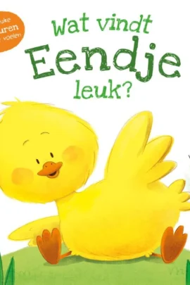 Wat vindt eendje leuk?