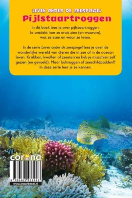 Alternative view of Pijlstaartroggen