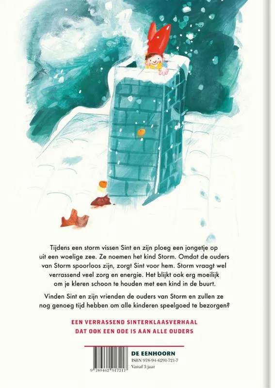 Sint redt een kind | 9789462917217 Sint redt een kind - Afbeelding 2