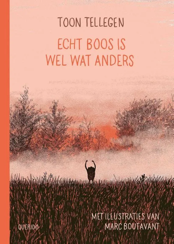 Echt boos is wel wat anders | 9789045126302 Echt boos is wel wat anders