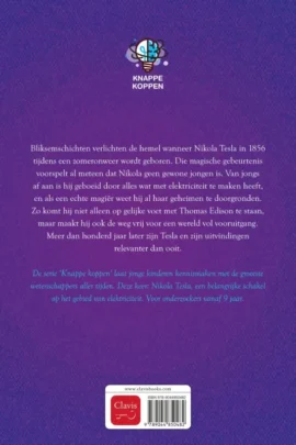 Alternative view of Nikola Tesla