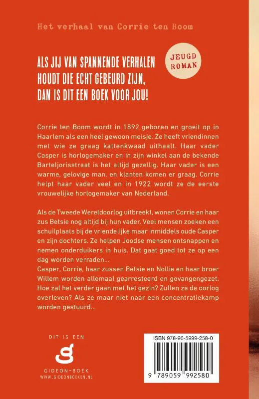 Het meisje uit de Barteljorisstraat | 9789059992580 Het meisje uit de Barteljorisstraat - Afbeelding 2