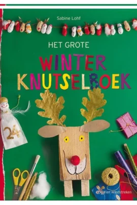 Het grote winterknutselboek