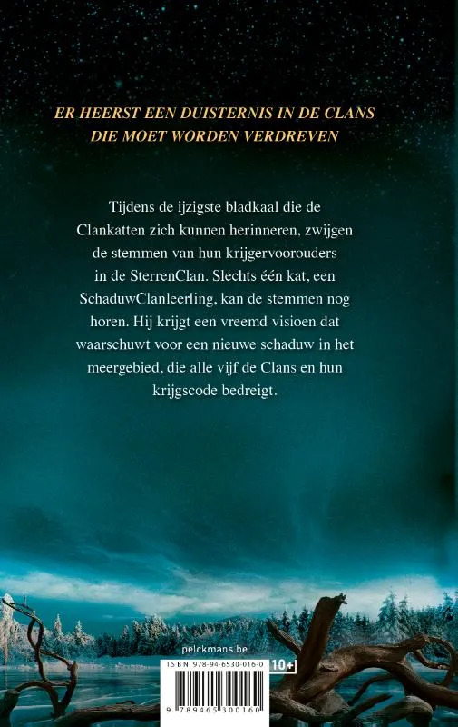 De verbroken code Serie 6 - Boek 1 Verloren sterren | 9789465300160 De verbroken code Serie 6 - Boek 1 Verloren sterren - Afbeelding 2