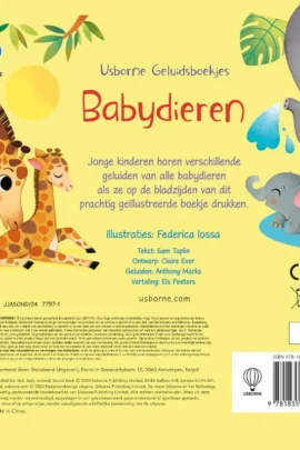 Alternative view of Het dorp van de Kerstman