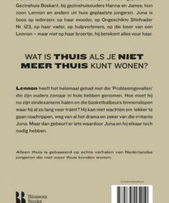 Alternative view of Alleen thuis