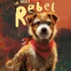 Ik heet Rebel | 9789059966345 Ik heet Rebel | 9789059966345