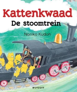 De stoomtrein