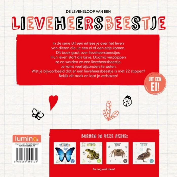 De levensloop van een lieveheersbeestje - Afbeelding 2