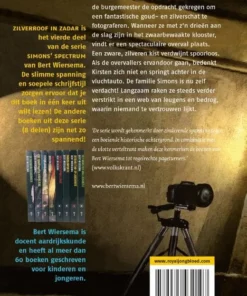 Alternative view of Zilverroof in Zadar