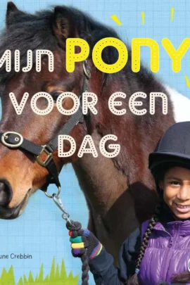 Mijn pony voor een dag