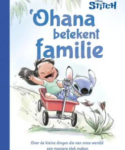 Ohana betekent familie
