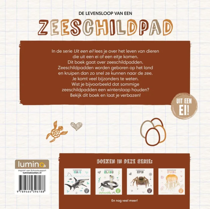 De levensloop van een zeeschildpad - Afbeelding 2