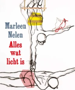 Alles wat licht is