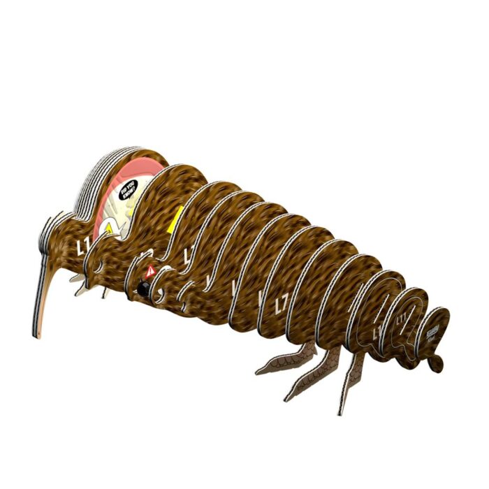 Eugy 3D model Kiwi - Afbeelding 4