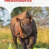 Neushoorns | 9789090361291