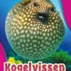 Kogelvissen | 9789463412797 Kogelvissen | 9789463412797
