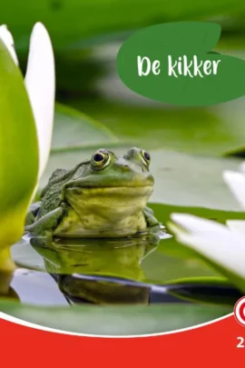 De kikker