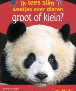Groot of klein?