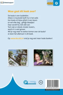 Alternative view of De koala