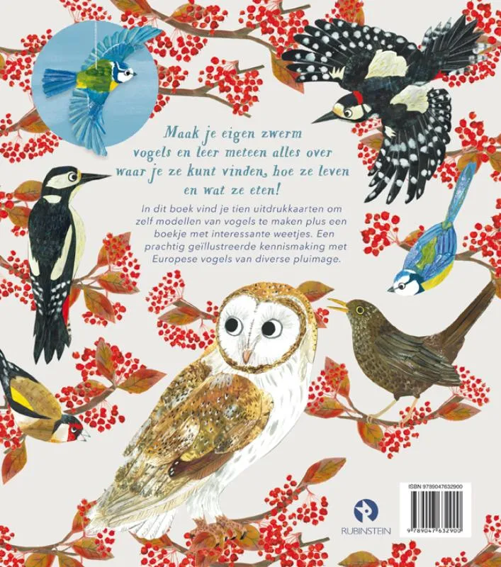 Veren maken de vogel | 9789047632900 Veren maken de vogel - Afbeelding 2