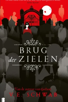 Brug der zielen