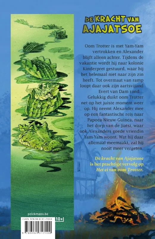 De kracht van Ajajatsoe | 9789461317100 De kracht van Ajajatsoe - Afbeelding 2