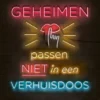 Geheimen passen niet in een verhuisdoos | 9789025876623