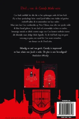 Alternative view of Brug der zielen