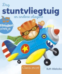Dag stuntvliegtuig en andere vliegers