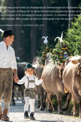 Alternative view of De koe, milieuramp of Godsgeschenk?