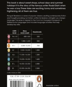 Alternative view of Boy (ELT Graded Reader)