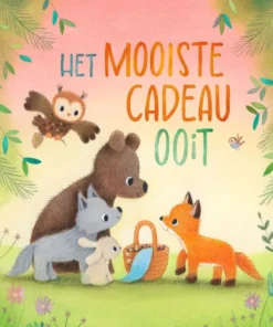 Het mooiste cadeau ooit
