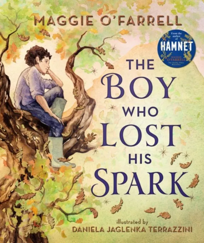 The Boy Who Lost His Spark | 9781406392012 The Boy Who Lost His Spark