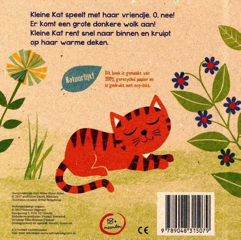 Mijn Kleine Kat | 9789048315079 Mijn Kleine Kat - Afbeelding 2