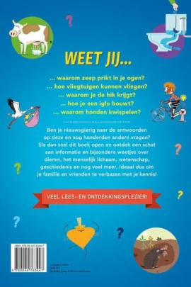 Alternative view of Hoe? Wat? Waarom?