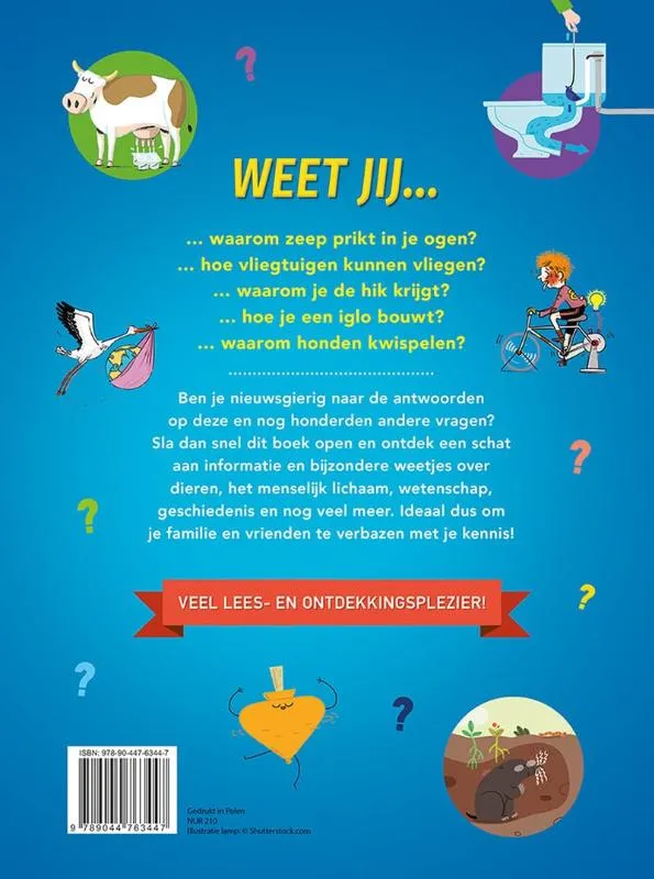Hoe? Wat? Waarom? | 9789044763447 Hoe? Wat? Waarom? - Afbeelding 2