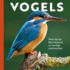 Vogels | 9789464291353 Vogels | 9789464291353