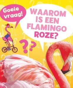 Waarom is een flamingo roze?