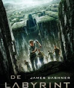 De labyrintrenner