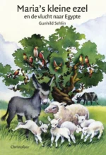 Maria's kleine ezel en de vlucht naar Egypte | 9789082190991