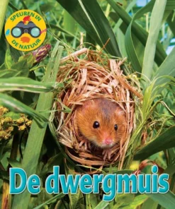 De dwergmuis