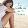 Een fontein in de regen | 9789462916715