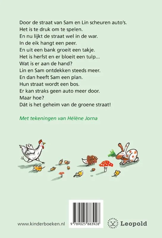 Het geheim van de groene straat | 9789025883928 Het geheim van de groene straat - Afbeelding 2