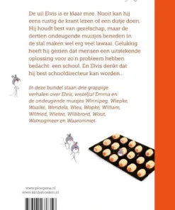 Alternative view of De muizenschool