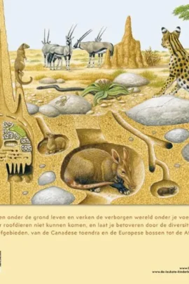 Alternative view of Leven onder de grond