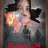 De Slag om Stalingrad | 9789493452480 De Slag om Stalingrad | 9789493452480