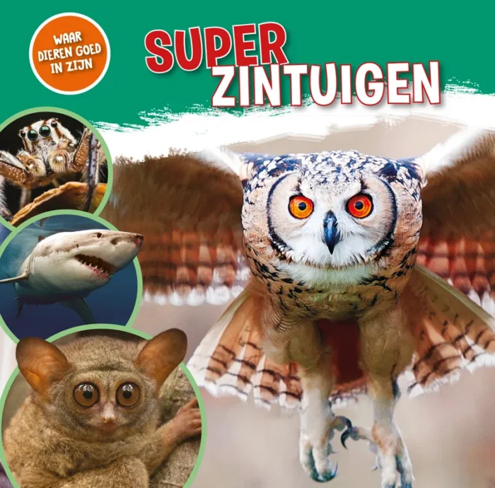 Superzintuigen