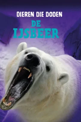 De ijsbeer